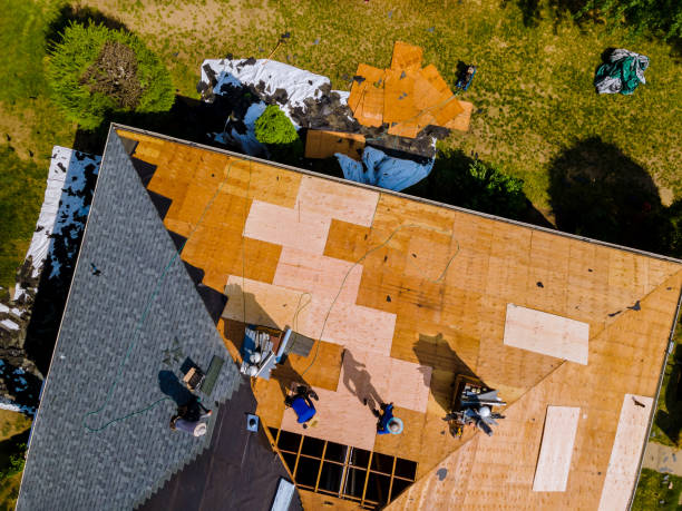 Best Commercial Roofing Services  in Rushville, NE
