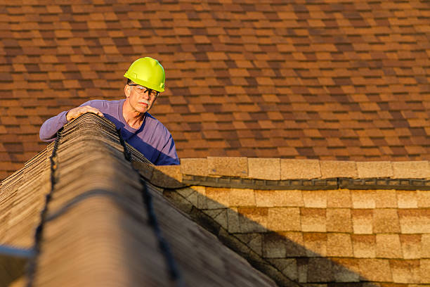 Best Flat Roof Repair Services  in Rushville, NE
